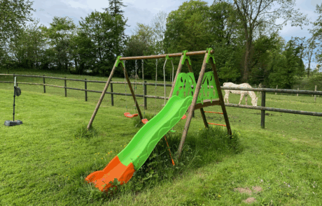 Playgound with white horse in background