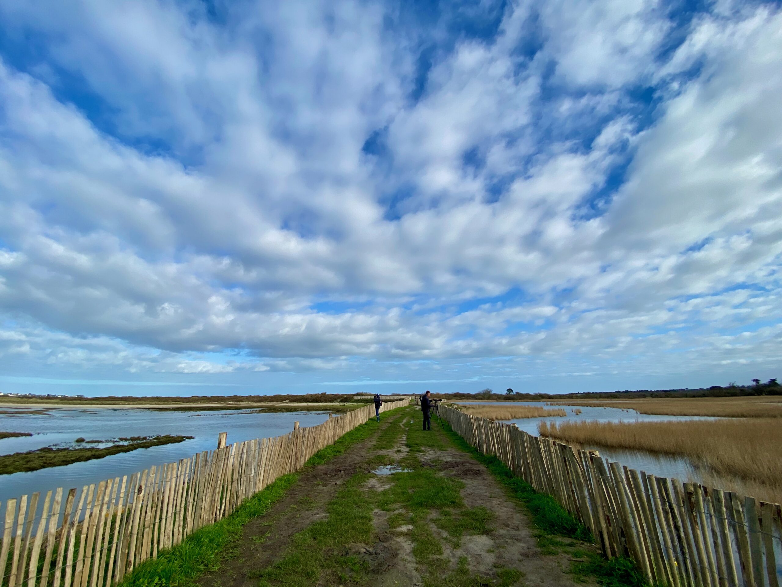 Baie de Goulven – Réserve ornithologique
